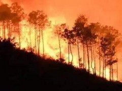 山火面前，測繪地信能否開啟綠色生命通道