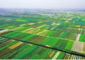 自然資源部開展2021年度全國國土變更調(diào)查，2022年起建立日常變更機(jī)制