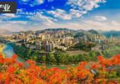 實(shí)景三維攀枝花試點(diǎn)建設(shè)項(xiàng)目順利通過驗(yàn)收